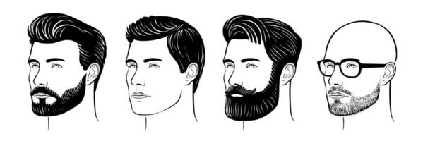 Man with beard. Face with hairstyle set vector