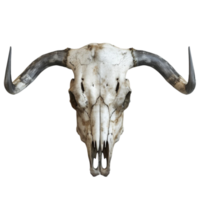 Bull Skull Isolated on Transparent Background AI-Generative png