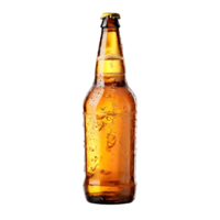 Beer bottle with ice isolated on transparent background, cut out, or clipping path. png