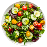 Mixed Greens Salad with Cherry Tomatoes, Cucumbers, and Light Vinaigrette on Transparent Background png