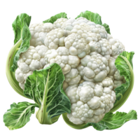 cauliflower isolated on transparent background png