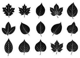 Leafy Giants Broadleaf Tree Silhouette Collection vector