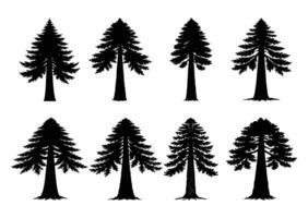 Towering Redwood Tree Collection vector