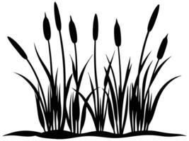 Wetland Reeds in Marshy Areas vector