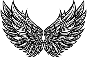 black wings are depicted with detailed feathers creating a symmetrical and elegant design png