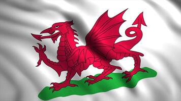 Flag of Wales.Motion .A red big dragon with a green floor in computer graphics. video