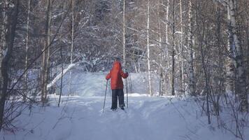 A boy skiing in the winter forest.Creative. A small child who walks through the forest in a winter snow forest in the daytime. video