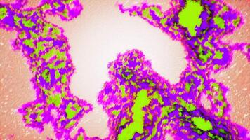 Colorful abstract spots of moving viruses. Motion. Colorful bright spots with particles moving in space. Abstract virus moving in spots in virtual space video
