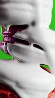 Green background. Stock clip.Maccaroons of different colors are watered,which is watered with white sugar. video