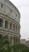 A huge Colosseum. Action.The oldest high unresolved monument next to tropical plants. video