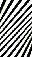 Glowing 3d tornado formed by spiral twisted lines, seamless loop. Design. Rotating striped shaped with the hypnotic effect. video
