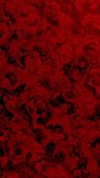 Bright red background .Design. Bright red patterns shimmering with black colors in animation . video