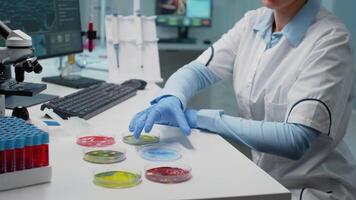 Scientist in laboratory analyzing petri dish with liquid bacteria while typing on computer with dna animation. Chemistry doctor with lab equipment working on genetic microbiology video