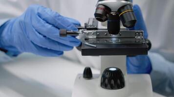 Close up of specialist hands using microscope tool in microbiology laboratory. Researching instrument with magnifying glass, optical lens and tray for dna sample in chemical industry video