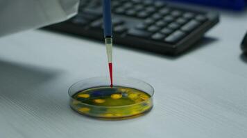 Close up of scientist using micropipette for analysing blood sample putting in petri dish. Team of researchers examining virus evolution using high tech for vaccine development against covid19 video