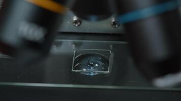 Microscope with magnifying glass and optical lens used for molecule research in laboratory. Person using microscopic instrument to analyze substance and genetics in lab. Close up video