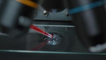 Micro pipette dropping blood sample on microscope tray to do genetic analysis in science laboratory. Specialist using dropper on microscopic tool with lens and magnifying glass. Close up video