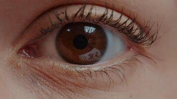 Brown eye with mascara on eyelashes blinking in front of camera. Woman showing open eye with pupil, iris, retina and eyelid, focusing sight. Extreme closeup and natural reflection. Close up video