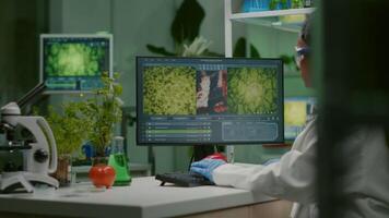 Scientist woman typing microbiology expertise on computer for scientific agriculture experiment. Medical team working with vegetables and fruit discovering genetic mutation in farming laboratory video