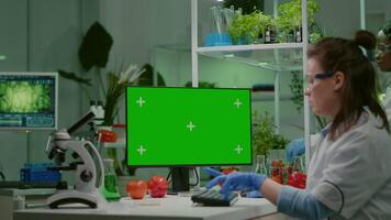 Pharmaceutical researcher looking at computer with mock up green screen chroma key with isolated display typing on keyboard medical expertise. Biologist working in microbiology laboratory video