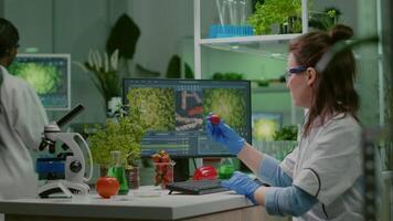 Scientist researcher injecting strawberry with pesticides while working in biological laboratory. Biochemist examining organic fruits typing medical expertise information on computer video