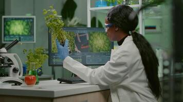 Scientist looking at green sapling for medical experiment while typing on keyboard ecology expertise. woman researcher observing genetic mutation on plants, working in agriculture laboratory video