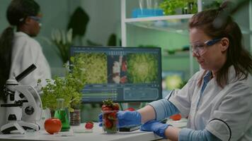 farmacêutico cientista olhando às vidro com morango enquanto digitando médico perícia em computador. bioquímico injetando frutas com pesticidas verificação genético teste trabalhando dentro agricultura laboratório video