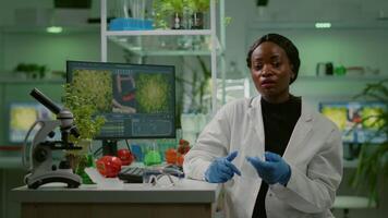 Pov of botanist researcher woman explaining botany experiment during online videocall meeting while sitting in pharmaceutical lab. Specialists team researching genetic mutation developing dna test video