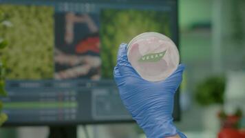 Closeup of scientist woman holding in hands petri dish with vegan beef meat working in chemistry laboratory. Chemist analayzing vegetarian food expertise after being genetically modified video