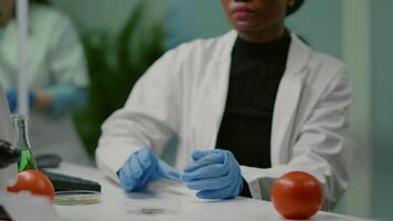 Close up of african scientist looking at petri dish with green leaf examining plant expertise. In background her collegue analyzing dna sample working in biochemistry laboratory video
