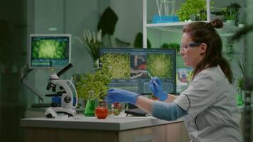 Scientist chemist injecting tomato with pesticides using medical syringe for genetic microbiology experiment. Biochemist working in farming laboratory testing health food for medical expertise video
