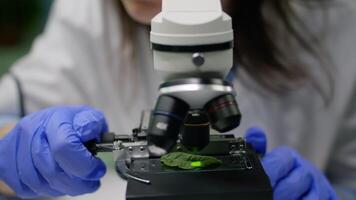 Closeup of chemist researcher hands looking at leaf sample using microscope observing genetic mutation on plant. Biologist specialist examining gmo test while working in pharmaceutical lab video