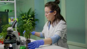 Botanist researcher measure sapling for botany experiment working in pharmaceutical laboratory. Biochemist scientist examining organic plants typing expertise information on computer video