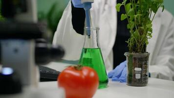 Closeup of botanist reseacher woman taking dna liquid test from medical glass with micropipette putting on sapling analyzing organic growing. Scientist examining agriculture in botanical lab video