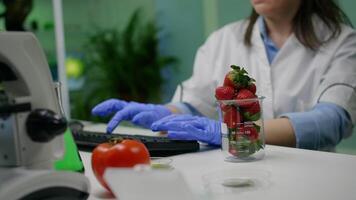 Chemist typing medical botany expertise on computer for agriculture experiment analyzing glass with organic strawberry researching for genetic mutation. Botanist researcher working in farming lab video