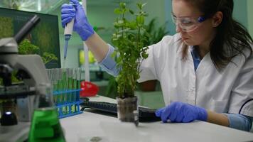 Biochemist scientific taking green liquid with micropieptte puttin on sapling observing genetic mutation typing biochemistry expertise on computer. Biologist woman working in biochemistry laboratory video