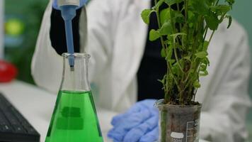Closeup of botanist woman using micropipette for taking genetic liquid putting on sapling examining botany expertise. Scientist growing organic plants in microbiology laboratory video