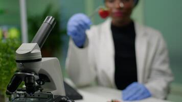 africano biólogo segurando morango injetado com dna líquido com médico pinças verificação saúde do frutas. dentro fundo dela colega pesquisando OGM teste em computador enquanto trabalhando dentro agricultura laboratório video