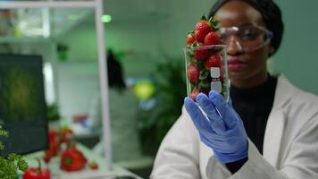 African researcher holding glas with strawberry injected with pesticides discovering genetic mutation on computer after medical expertise. Medical team working researcing gmo fruits in farming lab video