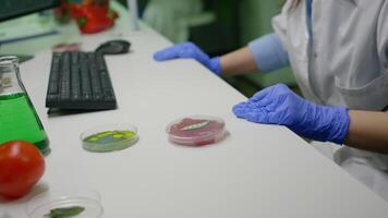 Chemist analyzing plant based beef substitute for vegetarien people typing biochemistry medical expertise on computer. Scientist examining food genetically modified working in microbiology lab video