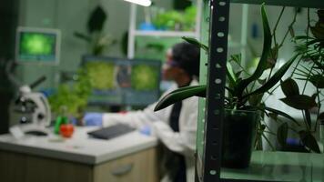 cientista mulher analisando rebento enquanto digitando farmacêutico perícia em computador. biólogo examinando OGM teste para médico experimentar enquanto trabalhando dentro bioquímica laboratório video