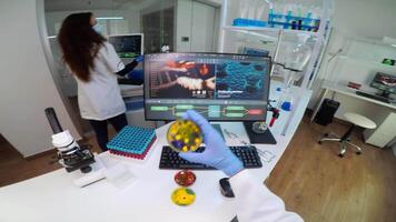 POV of chemist analysing bacteria culture from petri dish typing results in pc. Team of doctors examining vaccine evolution with high tech, chemistry tools for research in development of covid19 virus video