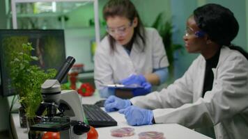 Medical team researchers analyzing botany expertise on computer discovering genetic mutation. Pharmaceuticals scientist working in biochemistry laboratory at biological agriculture experiment video