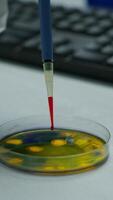 Vertical . Close up of scientist using micropipette for analysing blood sample putting in petri dish. Team of researchers examining virus evolution using high tech for vaccine development against covid19 video