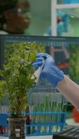 Vertical . Biologist researcher using micropipette putting genetic solution in test tube developing gmo medical expertise. Specialist scientist in white coat working in professional microbiology laboratory video