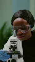 Vertical . Portrait of scientist taking leaf sample with micropipette putting on slide under microscope for medical experiment. Chemist analyzing organic agriculture plants in microbiology scientific laboratory video