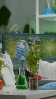 Vertical . Biologist scientist talking solution from medical flask putting on green sapling for genetic experiment. womanresearcher in white coat working in professional microbiology laboratory video