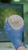 Vertical . Closeup of scientist woman holding in hands petri dish with vegan beef meat working in chemistry laboratory. Chemist analayzing vegetarian food expertise after being genetically modified video