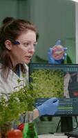 Vertical . Biologists talking about vegan meat sample checking biochemistry expertise for chemistry experiment using computer. Medical team researching vegetareian food modified genetically video