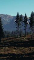 Landscape view of the mountain range with trees in the fall video